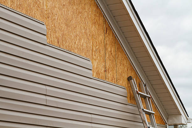 Professional Siding Inspection technician working in Hastings, MN